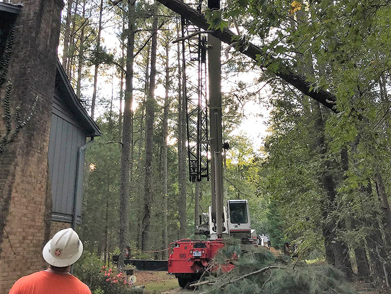 A+ Tree Services Tree Removal