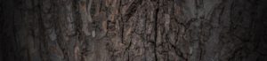 A+ Tree & Crane Service - Dark Tree Bark Background