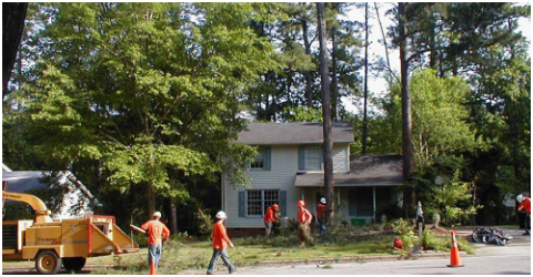 A+ Tree & Crane groundsmen cleaning up tree limbs and trees debris, Garner, NC