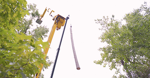 A + Tree & Crane Services | Tree Removal