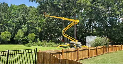 Spider Lift set in the backyard to trim tall trees, Apex, NC