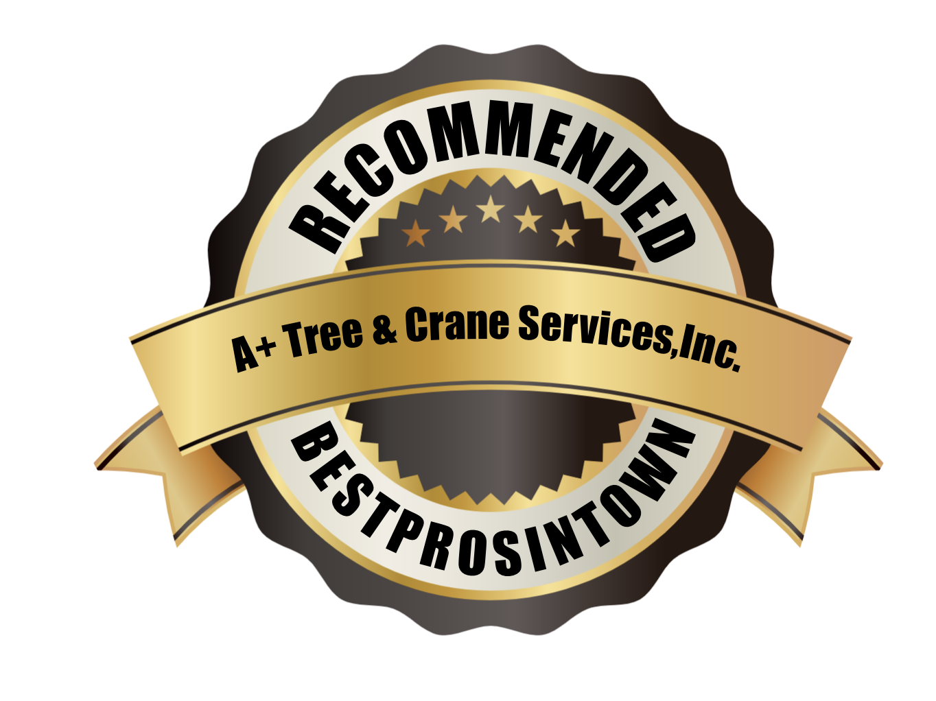 Screenshot 2025-11-19 at 12.12.04 PM